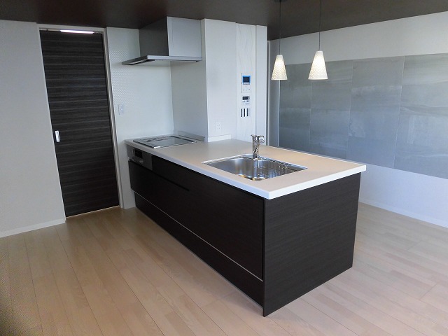 IHクッキングヒーター付きシステムキッチン IHクッキングヒーター付きシステムキッチン