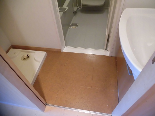 洗面脱衣所 洗面脱衣所