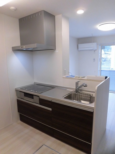 IHクッキングヒーター付きのシステムキッチン IHクッキングヒーター付きのシステムキッチン