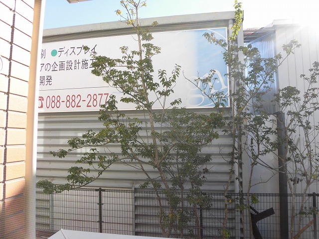 眺望 眺望