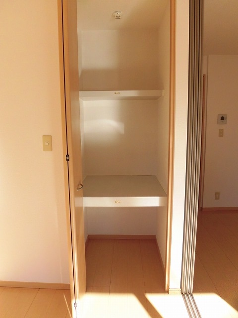 洋室の物入 洋室の物入