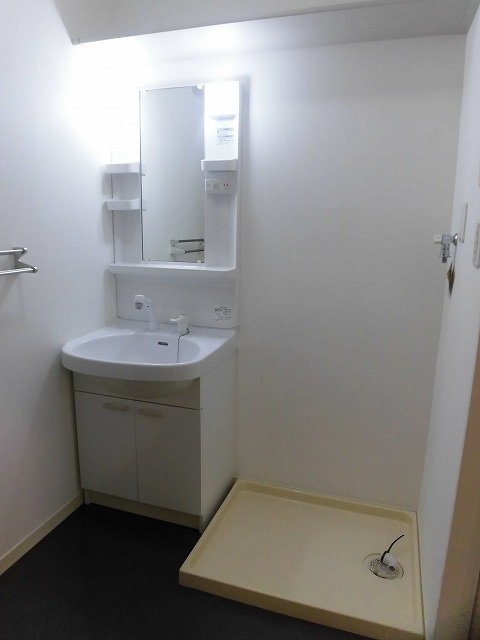 洗髪洗面化粧台と洗濯機置き場 洗髪洗面化粧台と洗濯機置き場