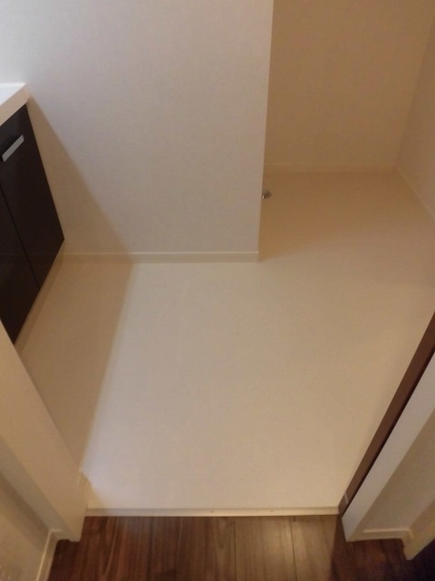 洗面脱衣所 洗面脱衣所