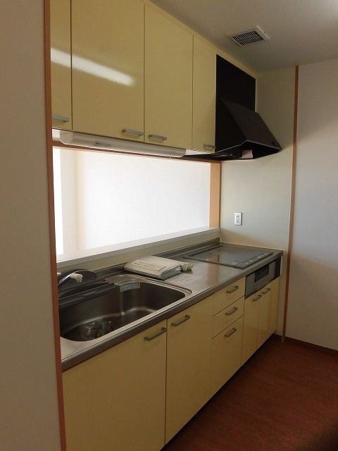 IHクッキングヒーター付きシステムキッチン IHクッキングヒーター付きシステムキッチン