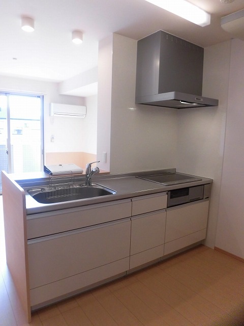 IHクッキングヒーター付きのシステムキッチン IHクッキングヒーター付きのシステムキッチン