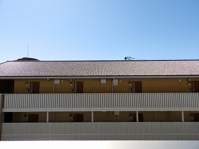 眺望 眺望